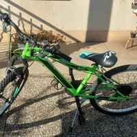 bicicletta bambino