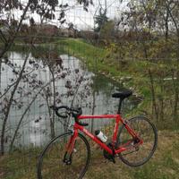 bici da corsa stradale 