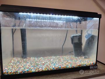 piccolo acquario