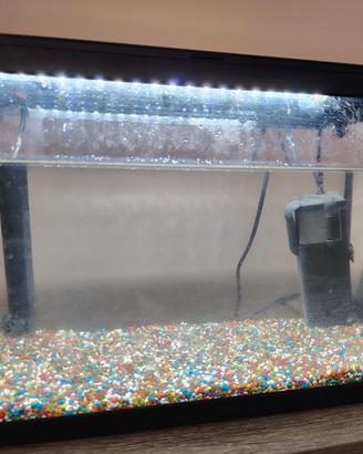 piccolo acquario