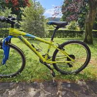 Mountain bike da bambino