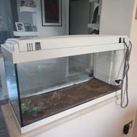 Acquario MTB bianco 80x40x30