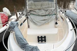 Saver 580 WA Motorizzata Mercury 115 cv