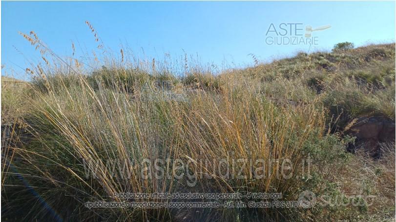 Terreno Agricolo Serrenti [A4353783] - Vista 2