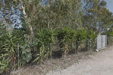 Terreno recintato a Porto Cesareo