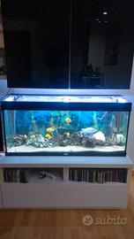 Acquario juwell 240litri