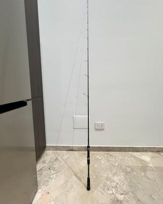 Canna da pesca spinning jastui