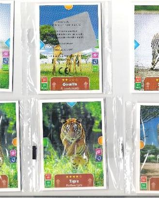 Card collezioni varie