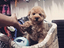 Immagine 27