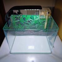 acquario completo di filtro e led
