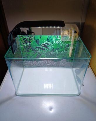 acquario completo di filtro e led