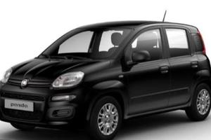 FIAT Panda 1.0 Hybrid Pop 70CV PRONTA CONSEGNA