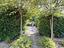 Immagine 8