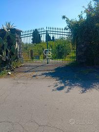 Terreno agricolo - Santa Venerina