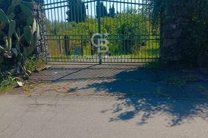 Terreno agricolo - Santa Venerina