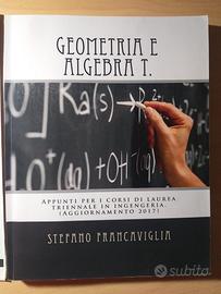 libro geometria e algebra per università