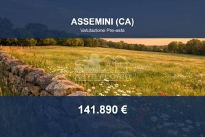 Immobile in asta di 47003 m² a Assemini