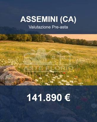 Immobile in asta di 47003 m² a Assemini