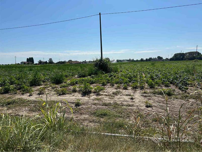 terreno con rustico - Vista 4