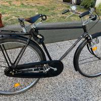 Raleigh royal roadster senza sella