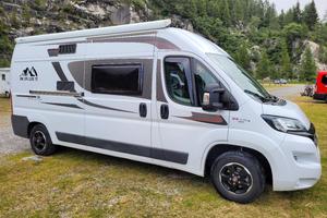 Roller Team Livingstone 5 Sport White Edition 