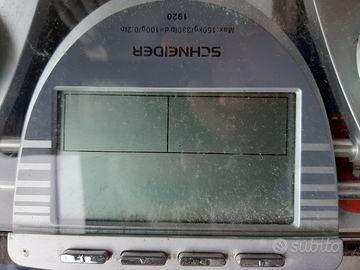 Pesapersone schneider