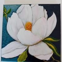 fiore Bianca di magnolia 