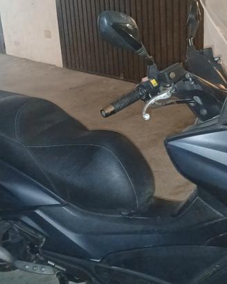 scooter kimco