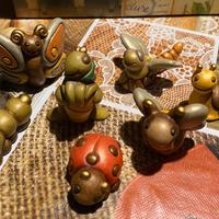 insetti PICCOLI THUN