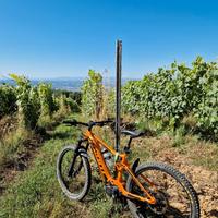 e-bike Giant Stance E + 1 2019 taglia M