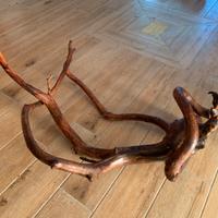 Legno espositivo per vetrina