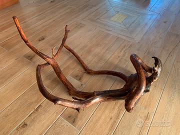 Legno espositivo per vetrina