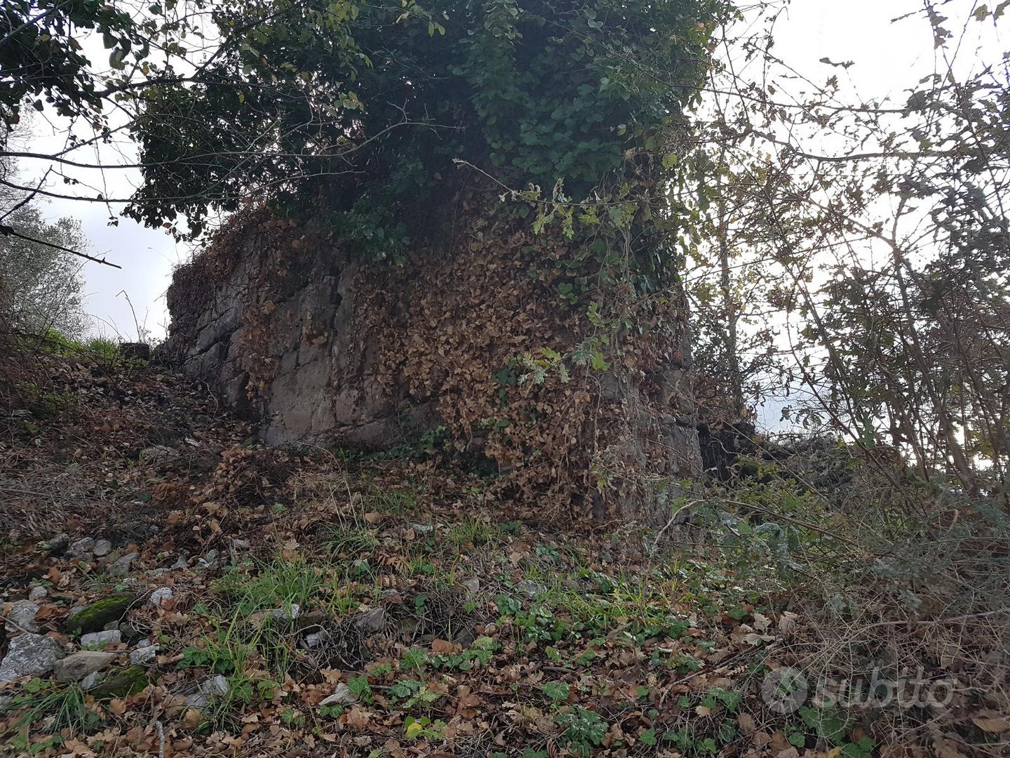 Uliveto con porzione di rudere 5200mq - Altro