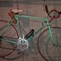 Bianchi da corsa