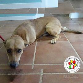 DOLCE sei una meraviglia