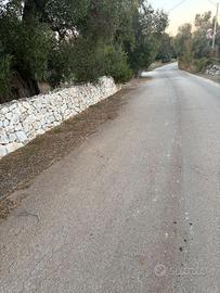 TERRENO CON PROGETTO E PISCINA APPROVATO