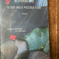 Il dio delle piccole cose - Arundhati Roy