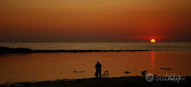 Appartamento accogliente a due passi dal mare