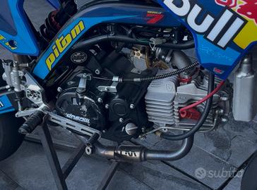 Motore pit bike