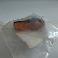 Indicatore direzione Honda Civic Vti