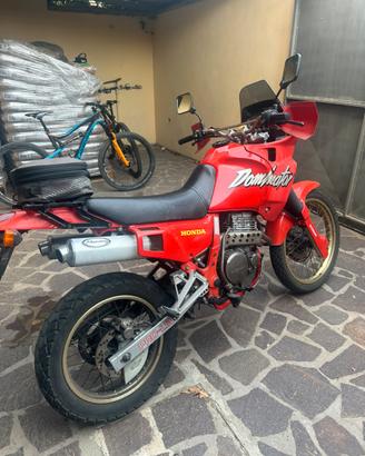 HONDA DOMINATOR 650
