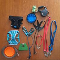 Guinzaglio, ciotola e pettorina per cani