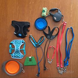 Guinzaglio, ciotola e pettorina per cani