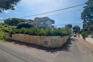 Villa Con Giardino A Circa 700 Mt Dal Mare