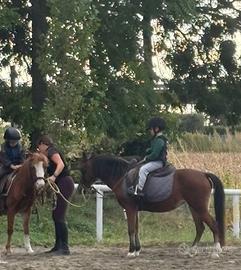 Tre pony scuola/agonismo