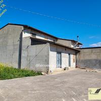 Villa ristrutturata mq 180 con 4 ettari uliveto