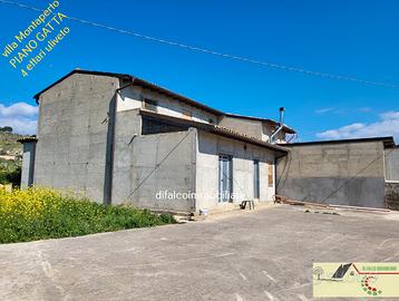 Villa ristrutturata mq 180 con 4 ettari uliveto