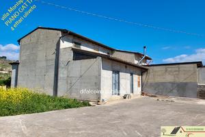 Villa ristrutturata mq 180 con 4 ettari uliveto