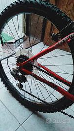 Cyclette bike sportiva