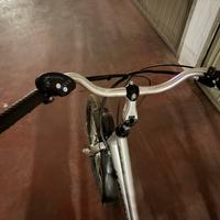 Bici a tre ruote con pedalata assistita